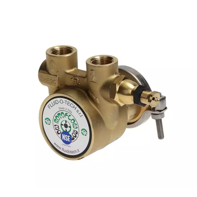 Fluid o tech rotary vane pump 3/8" 50L/h