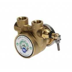 Fluid o tech rotary vane pump 3/8" 50L/h