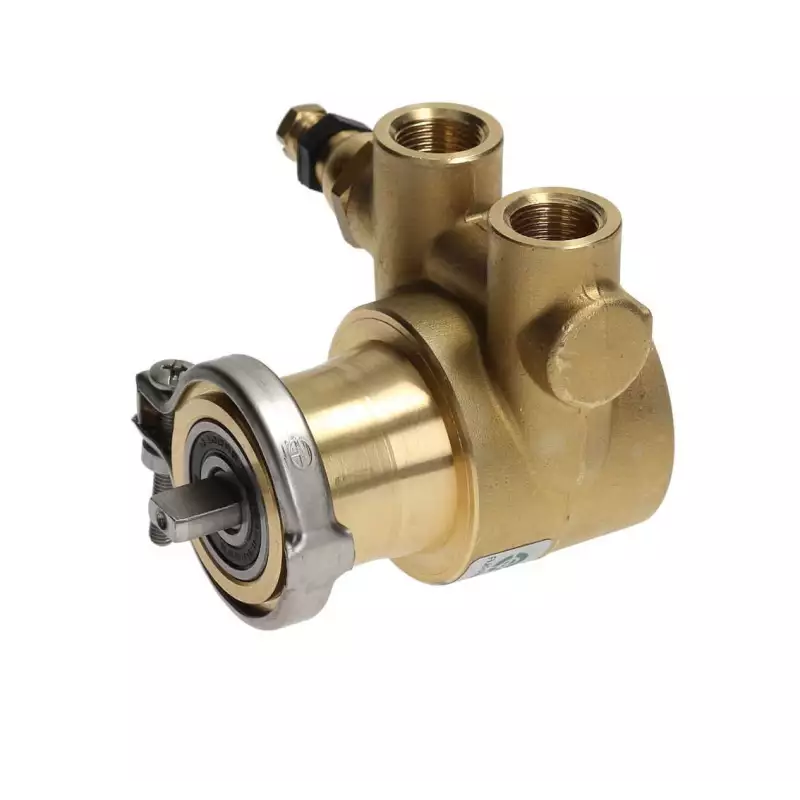 Fluid o tech rotary vane pump 3/8" 50L/h