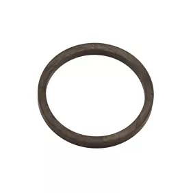 Isomac Venus portafilter gasket 65x55x5,5mm original