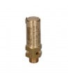 Safety valve 1/4" M 2.0 bar CE / PED