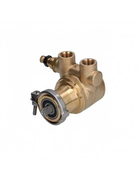 Fluid o tech rotary vane pump 100 L/H 3/8"