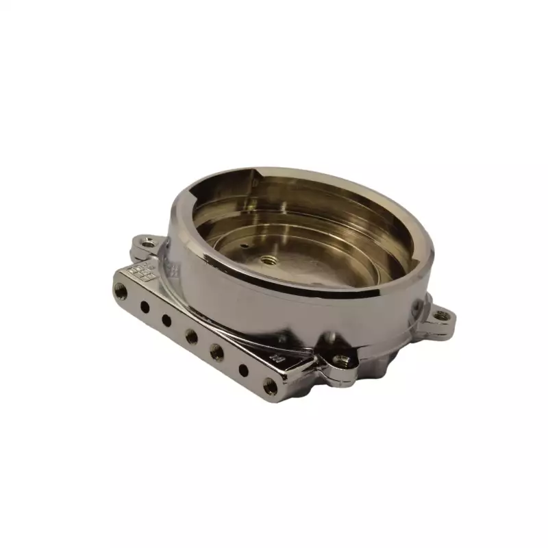 Gaggia Baby et Classic groupe de brassage original