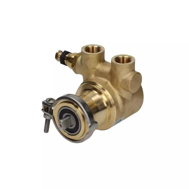 Fluid o tech rotary vane pump 3/8" 150L/h