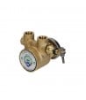 Bomba rotativa de paletas Fluid o tech 3/8 "150L / h