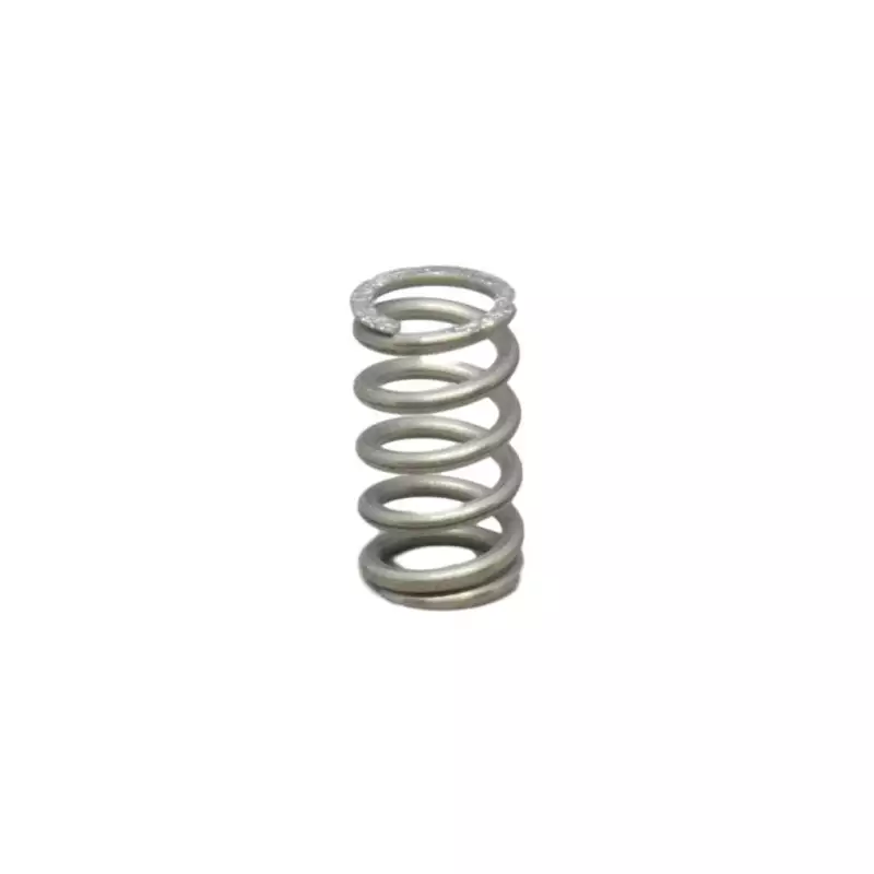 Faema E61 group spring 14x33mm