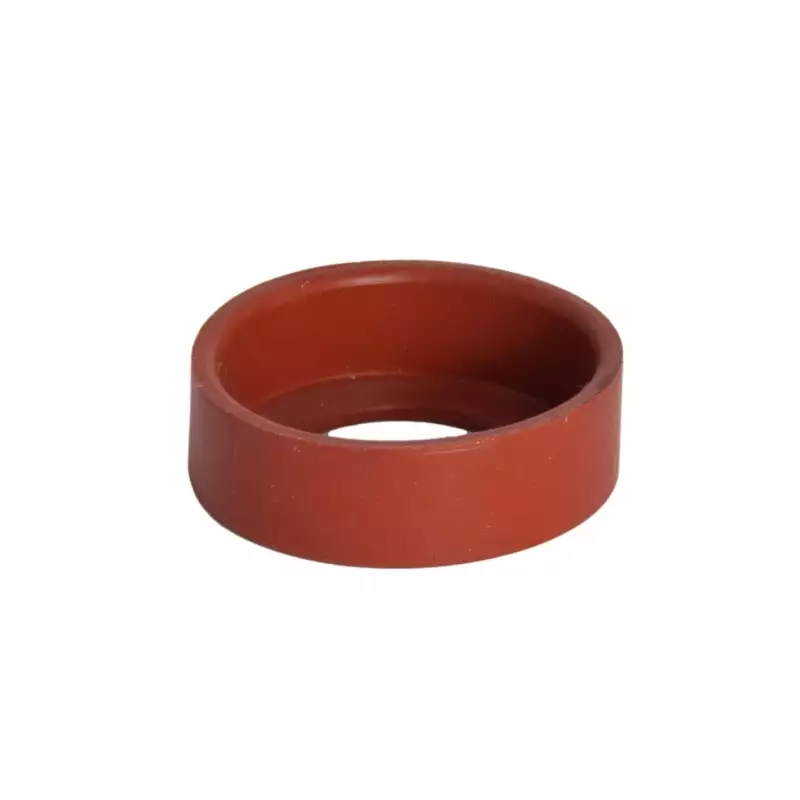La San Marco bearing gasket