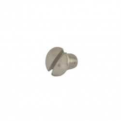 Gaggia shower screen screw M5x8 stainless