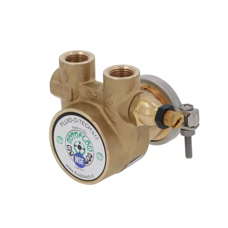 Fluid o tech pump Carimali 50 L/h ecobrass