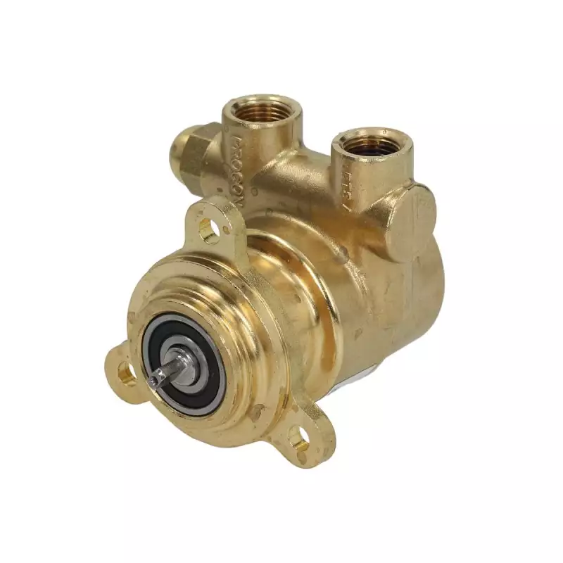 Procon flange pump 150 L/h 3/8" NPT