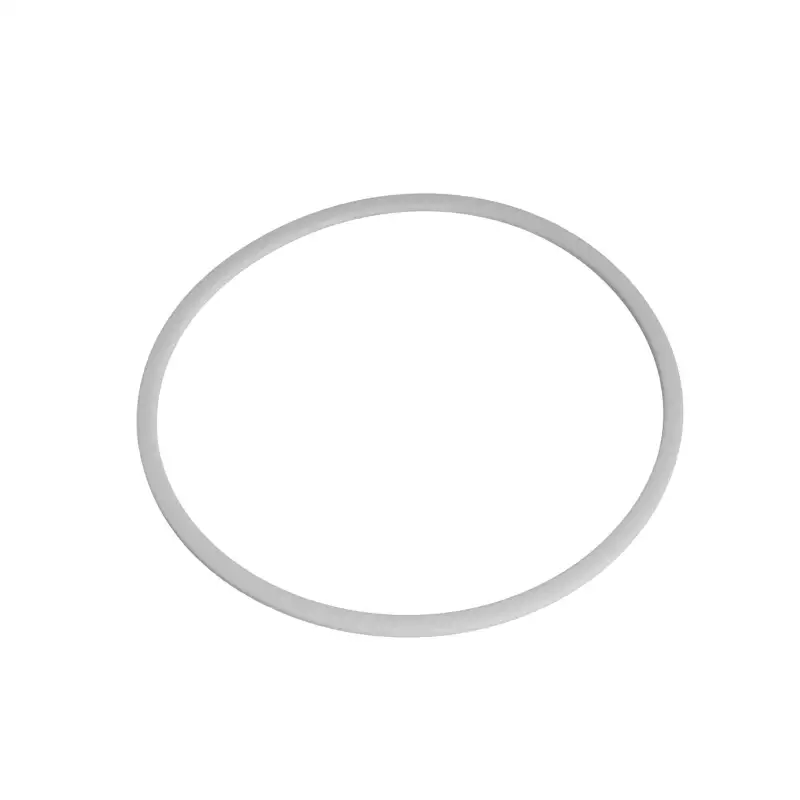 San Marco boiler gasket PTFE 165X151X3mm