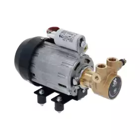 Brooks Parts | Rancilio motor and pump assembly 230V