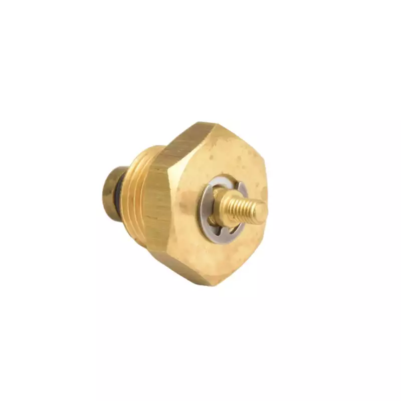 Brooks Parts | Zawór podciśnieniowy Rancilio 3/8" mosiądz