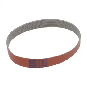 RGV OEM Multigrip Belt TB2 510 H22 - 10 spår för skivmaskin | Brooks-Parts