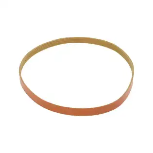 Correa Megadyne Multigrip TB2 598 H12 - 5 ranuras para Prisma250 | Brooks-Parts