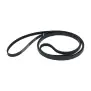 Correa Zanussi OEM Multigrip de 4 Estrías H12 - 2390 mm para Secadora y Calandria | Brooks-Parts