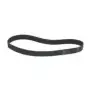 Courroie Megadyne Multigrip J 762 H23 - 9 rainures pour coupe-légumes | Brooks-Parts