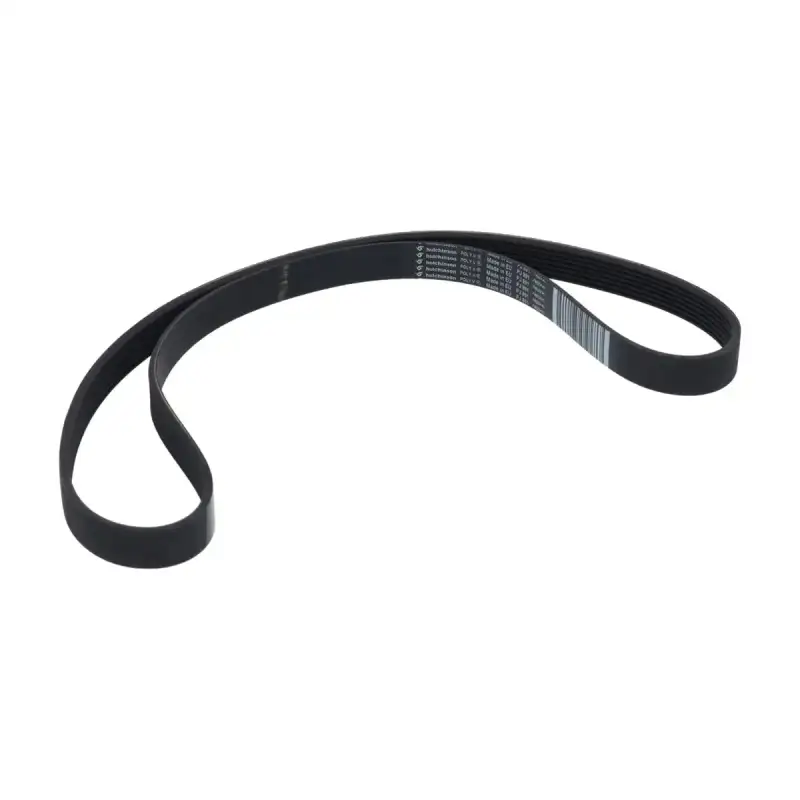 Megadyne Multigrip Belt J 895 H16 - OEM Sammic Part | Brooks-Parts