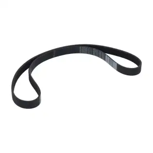 Megadyne Multigrip Belt J 895 H16 - OEM Sammic Part | Brooks-Parts