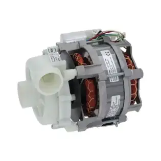 Pompa elettrica Aristarco da 0.75 cavalli – Ricambio originale del produttore (OEM)