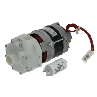 FIR 4213DX 0.37HP Pump – Single‑Phase High Performance