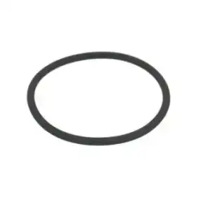 O-rengas FKM Ø55.56x3.53 mm - Valmistettu Italiassa | Sähköfriteereille