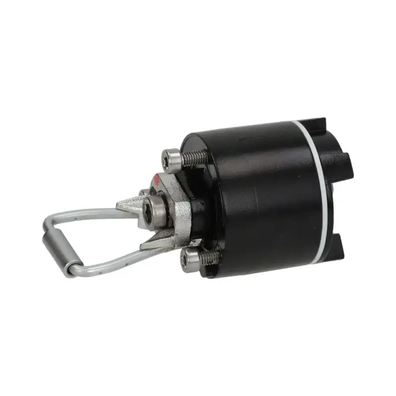 合理な内部ヒンジドアハンドル – OEM 2402762