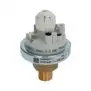 Einstellbarer 5-20 mbar Druckschalter ¼″M – Brooks-Teile