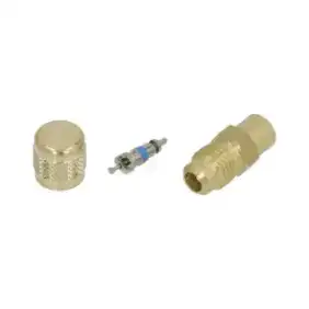Serviceklep ODS Ø 6 mm met ¼″ draad