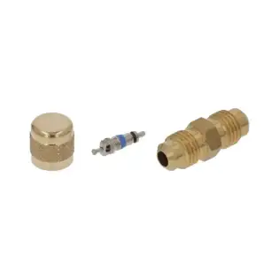 Access Valve Ø ¼″ SAE