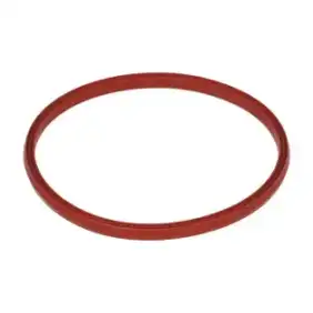 Rational כיסוי שליטה עבור Gasket 54,00,805P