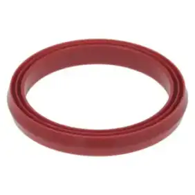 Rational Gasket for Inspection Cover 54,01,168P, OEM Spare