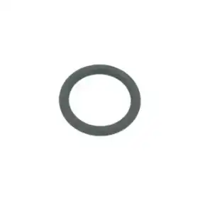 Astoria OEM 12303 O-ring 0119 HNBR (5 stuks)