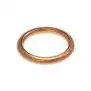Astoria OEM 12101 Round Copper Gasket Ø22x17x3 mm (10 pcs)