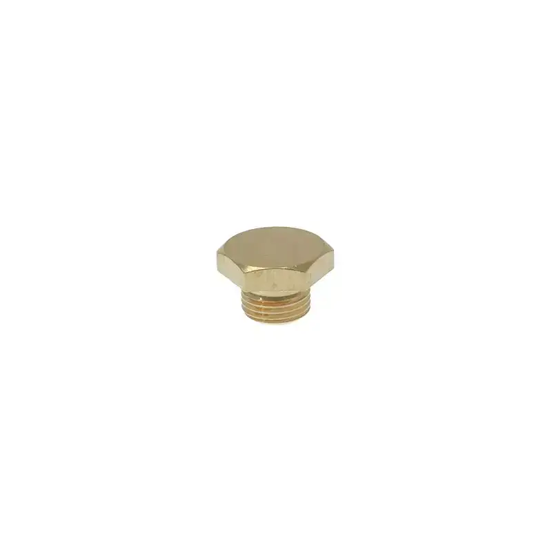 Necta OEM 0V1600 cap ø 1/8"M for solenoid valve Lavazza, Necta