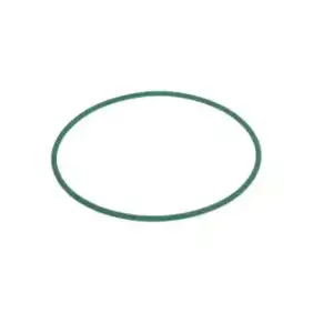 Belt ø 8x920 mm for Fimar FI30, FI40, Pizza Group RMP40, RMP40T
