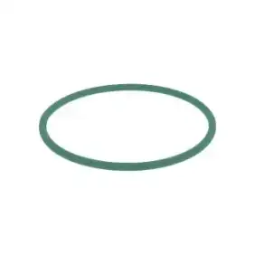 Correa corta Fimar Klemor Pizza Group ø8x540 mm para estiradores de masa.