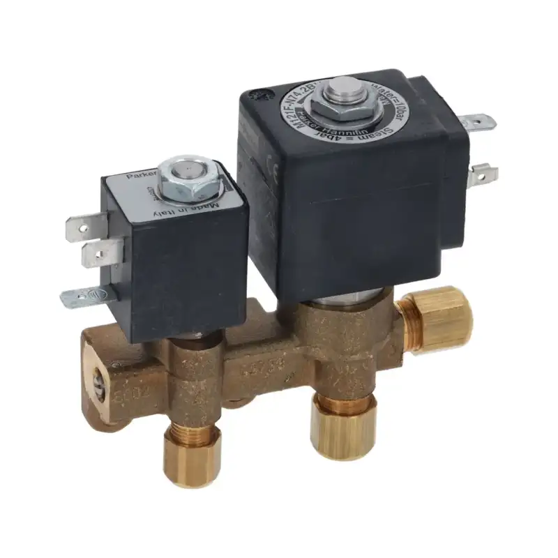 Rancilio Tea Water Mixer 24V Brass OEM 10705759
Rancilio Tevattenblandare 24V mässing OEM 10705759