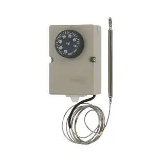 2901063 PRODIGY THERMOSTAT F2000 0+60°C – Hergestellt in Polen