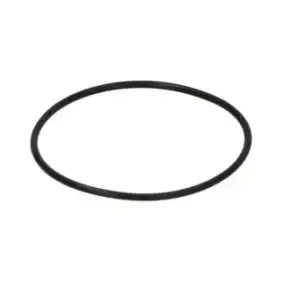 Wega OEM WY12300054 O形圈02187 EPDM-意大利制造