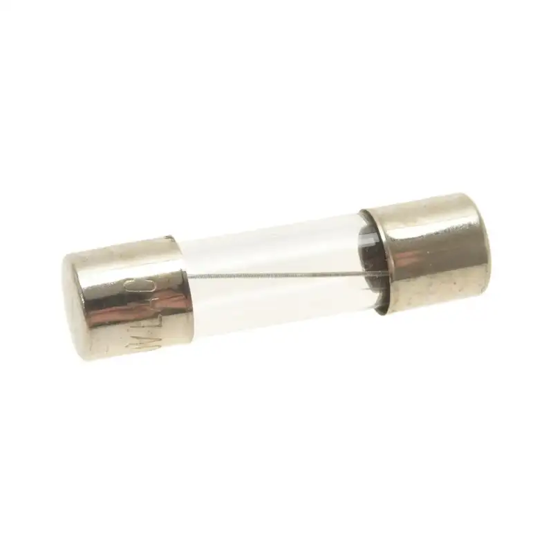 Fusibile ritardato ø 5x20 mm 250V 100mA - 10 pezzi