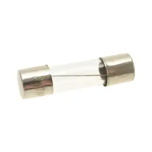 Delay fuse ø 5x20 mm 250V 100mA – 10 pcs