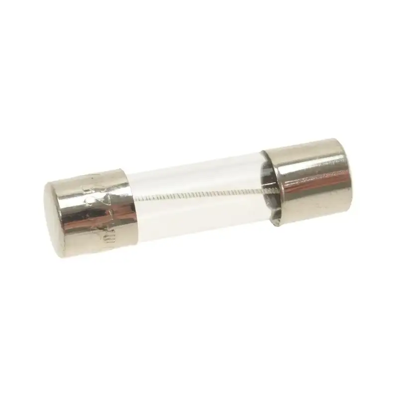 Fusível de retardo ø 5x20 mm 250V 125mA - 10 unidades