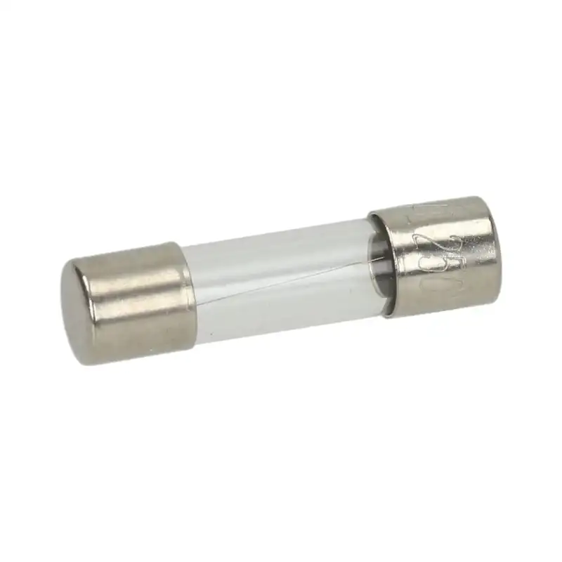 Fusível de retardo ø5x20 mm 250V 250mA - 10 unidades