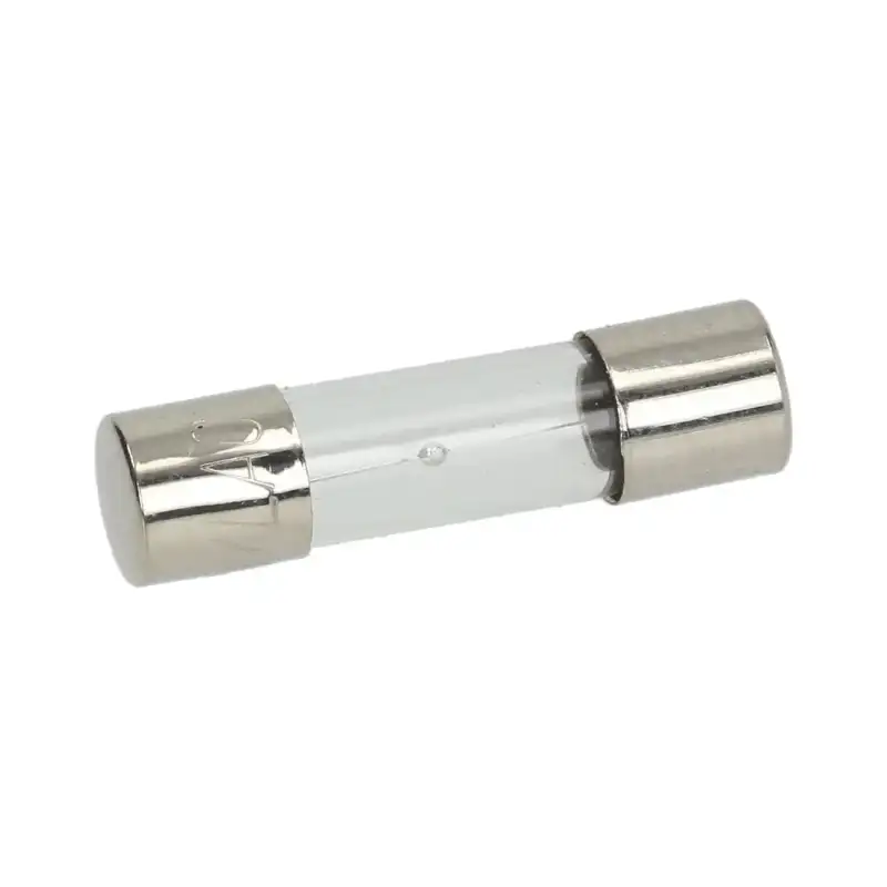 Delay fuse ø5x20 mm 250V 1A – 10 pcs