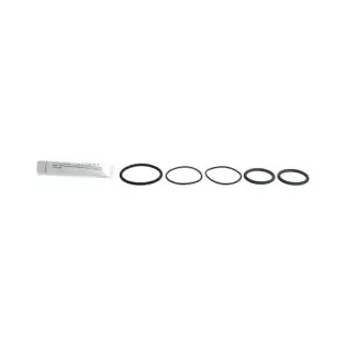 Set di guarnizioni MKN OEM 10015505 per valvola di uscita da 1,5"