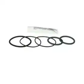 Conjunto de vedação MKN OEM 10015506 para válvula de saída de 2" | Fabricado na Alemanha