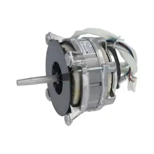 Tecnoeka OEM 01205500 Hanning motor 150W 230V

Tecnoeka OEM 01205500 Hanning motor 150W 230V
