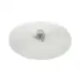 Fimar OEM ACPPC abrasive disc for mussel cleaner ø 388 mm