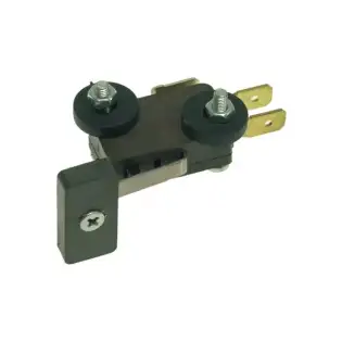 Krupps OEM 103540K microswitch avec aimant 10A 250V